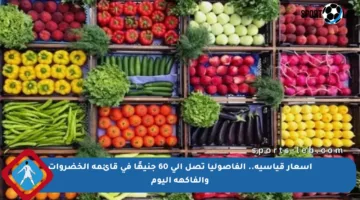 أسعار قياسية.. الفاصوليا تصل إلى 60 جنيهًا في قائمة الخضروات والفاكهة اليوم